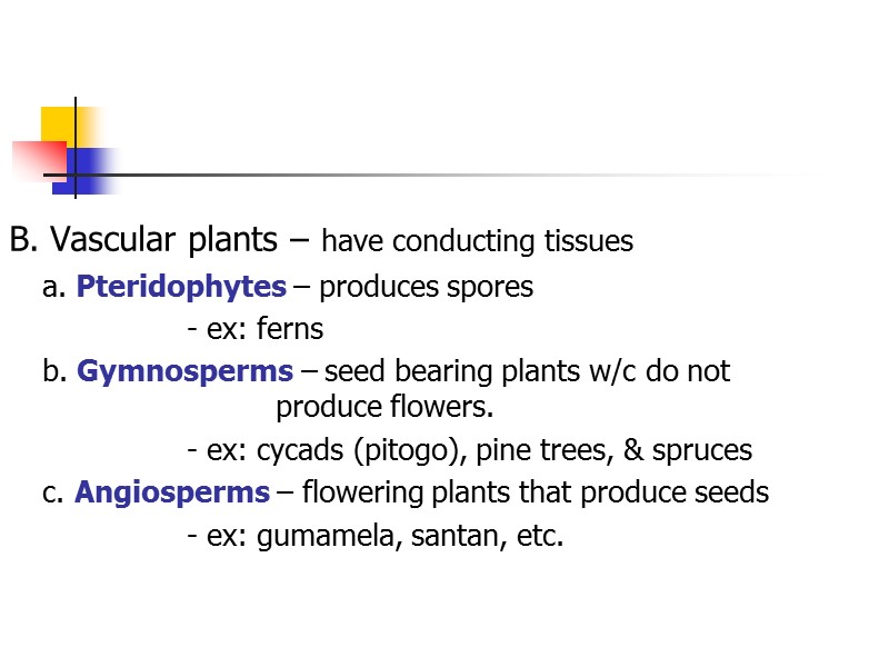 B. Vascular plants – have conducting tissues  a. Pteridophytes – produces spores 